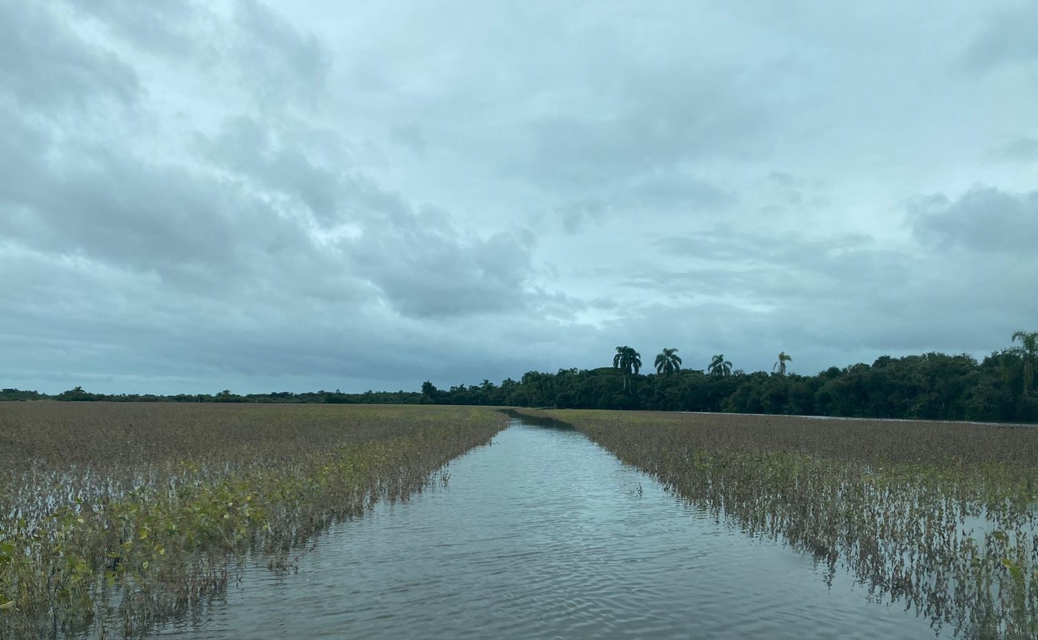 Entidades vão iniciar plano emergencial para recuperar agropecuária gaúcha