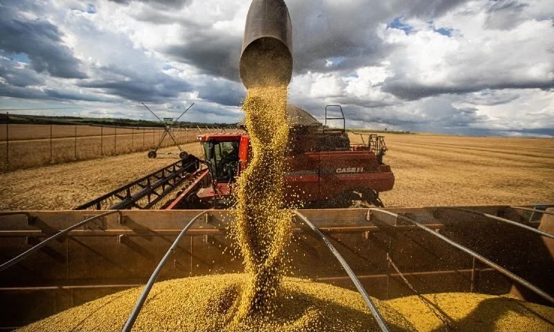 Soja virou a principal cultura do agro nordestino, diz levantamento
