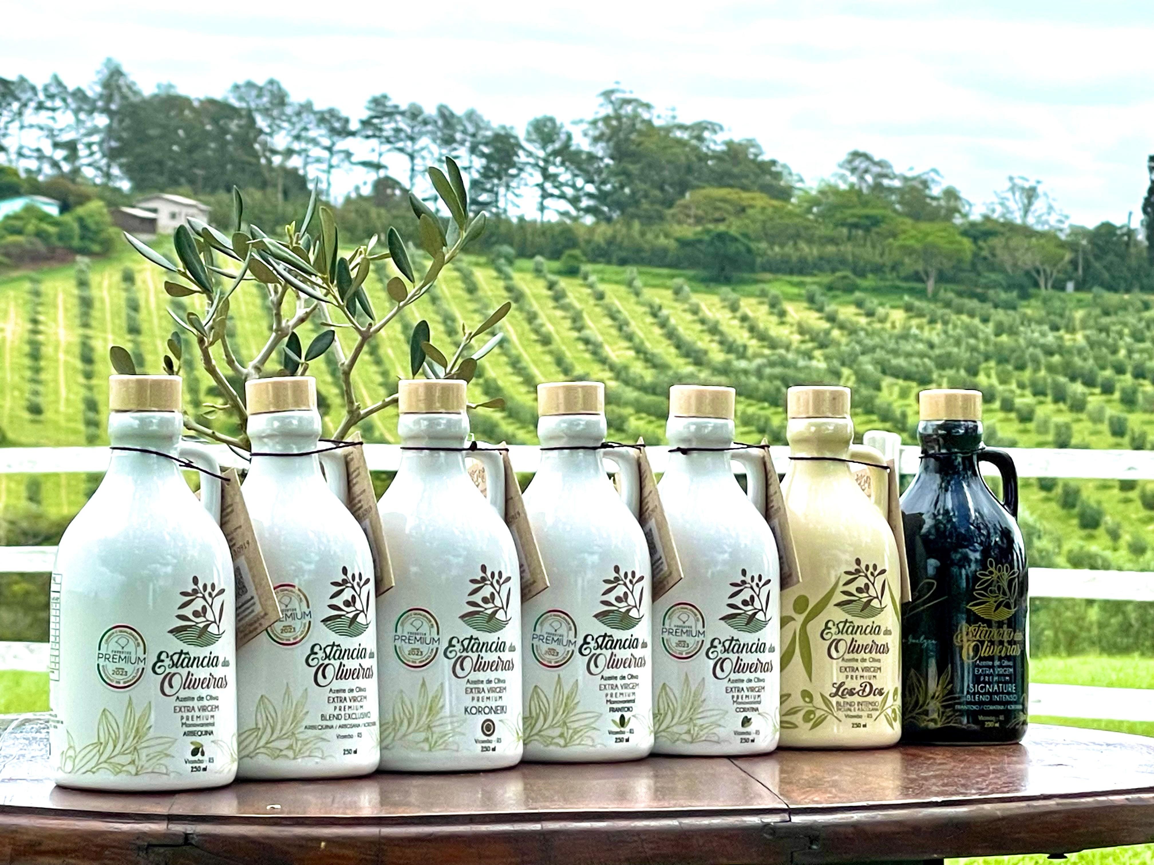 Veja quais são os melhores azeites do Brasil em 2025