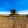 Em 2025, a colheita de grãos deve bater recorde e atingir 345,6 milhões de toneladas - Antônio Neto/Embrapa