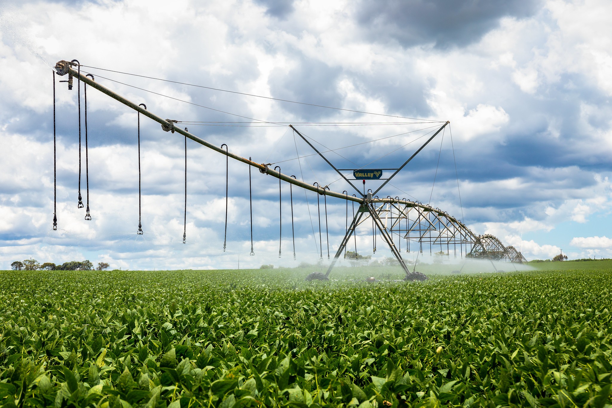 SLC Agrícola prevê ampliar área irrigada em mais de 200%