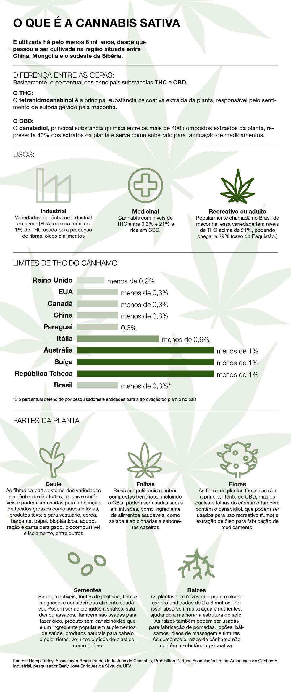 O que é a cannabis sativa — Foto: Globo Rural