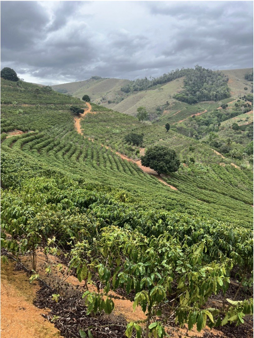 Drones impulsionam produtividade e sustentabilidade em fazenda de café capixaba