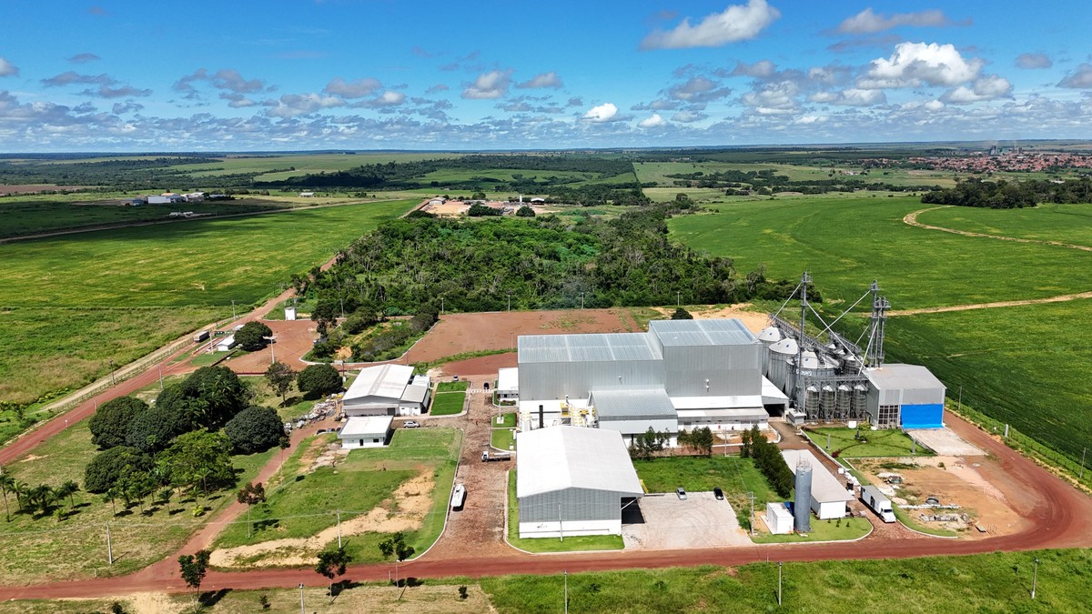Indústria do Ceará investe em fábrica de ração no Norte