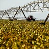 País tem 2,2 milhões de hectares irrigados por pivôs centrais - Getty Images