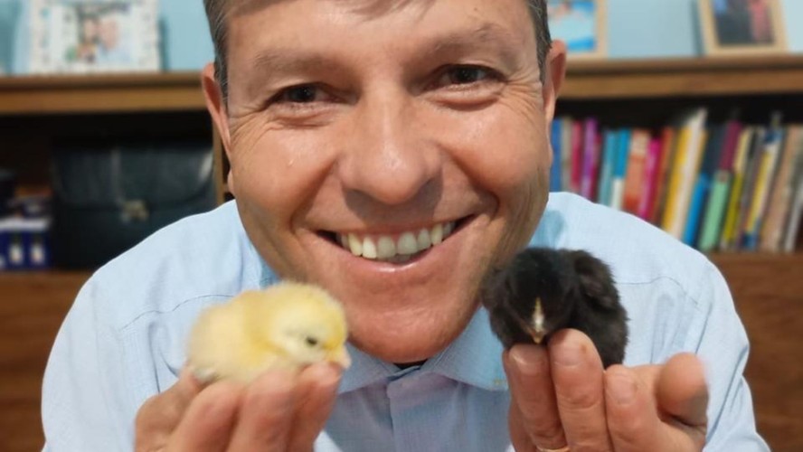 Criador mostra as duas aves com penas de cores diferentes