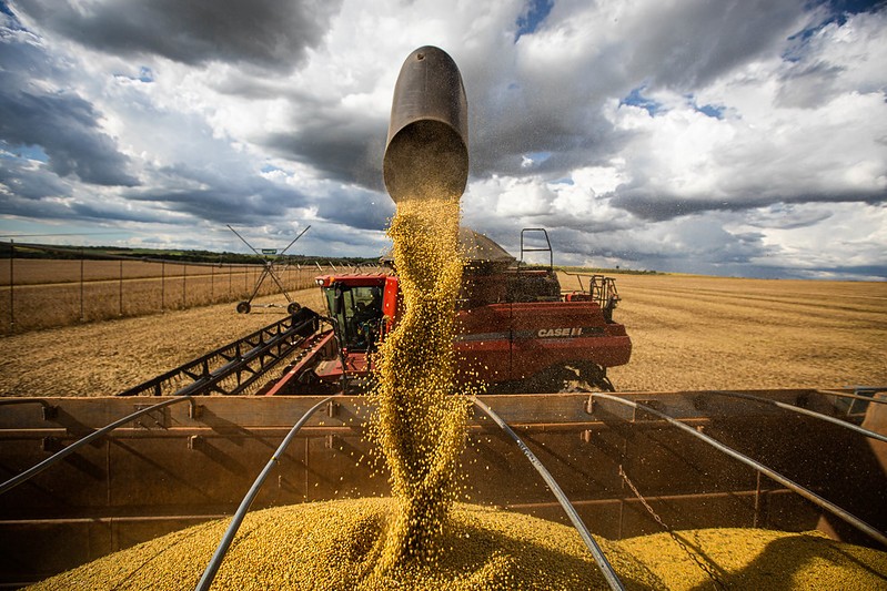 PIB do agro deve crescer até 5% em 2025, diz Confederação da Agricultura e Pecuária