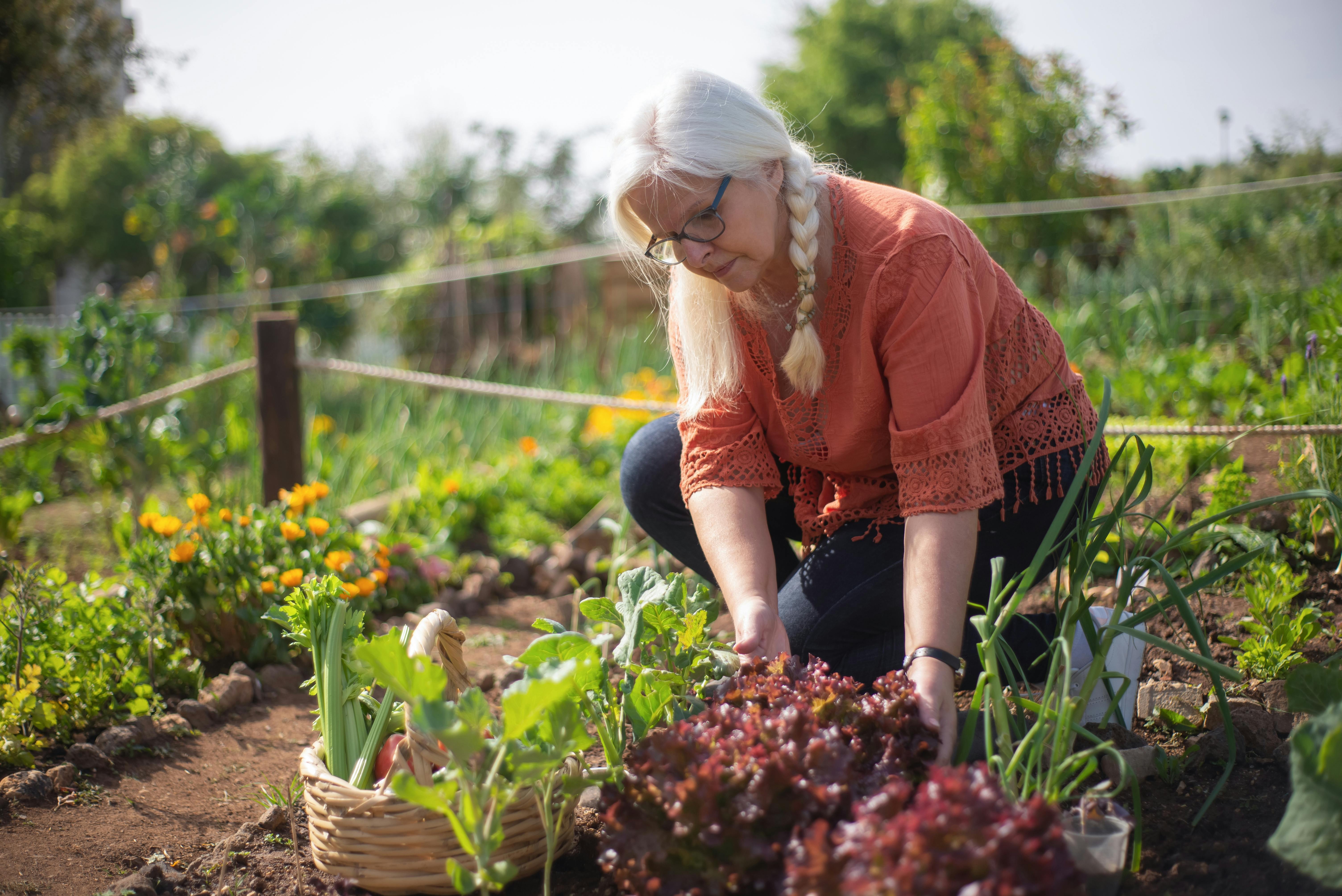 O que plantar em outubro? Primavera favorece hortifrútis