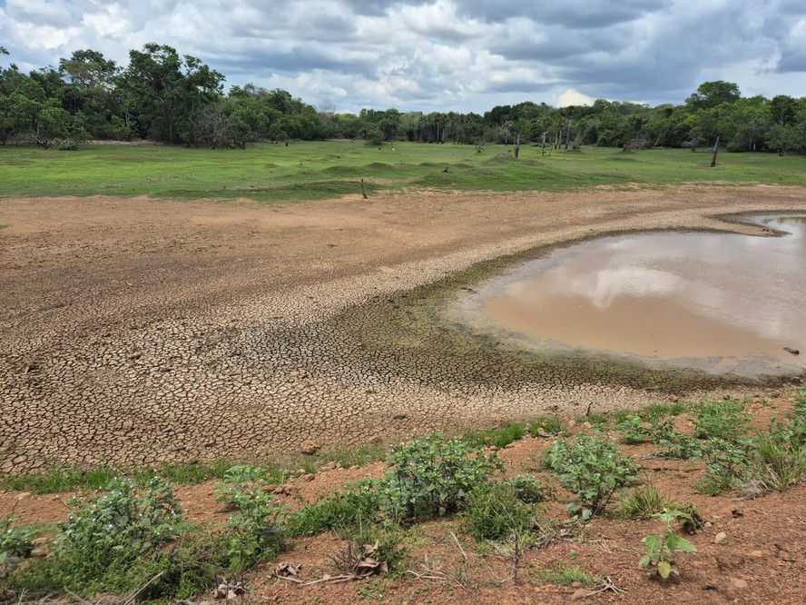 Chuva em Tocantins foi insuficiente para garantir bom desenvolvimento da safra de soja