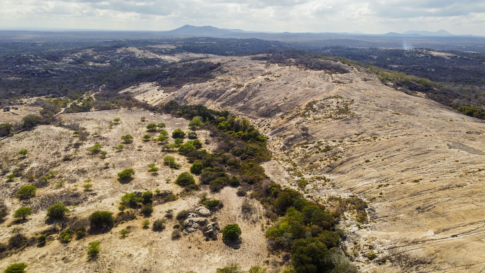 BNDES lança programa com crédito de R$ 150 milhões para agricultura familiar na Paraíba