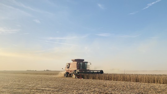 Colheita de milho nos EUA atinge 15% da área, diz USDA