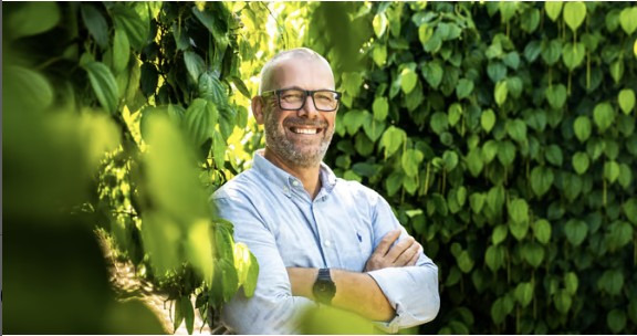Nova era da pimenta-do-reino brasileira é impulsionada por tecnologia, prevenção e ciência