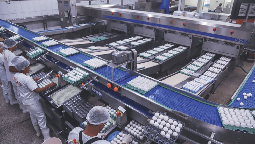 PROCESSO SELETIVO | Funcionários da Granja Faria trabalham na unidade de classificação. Ovos são comercializados com a marca Iana — Foto: Ricardo Benichio