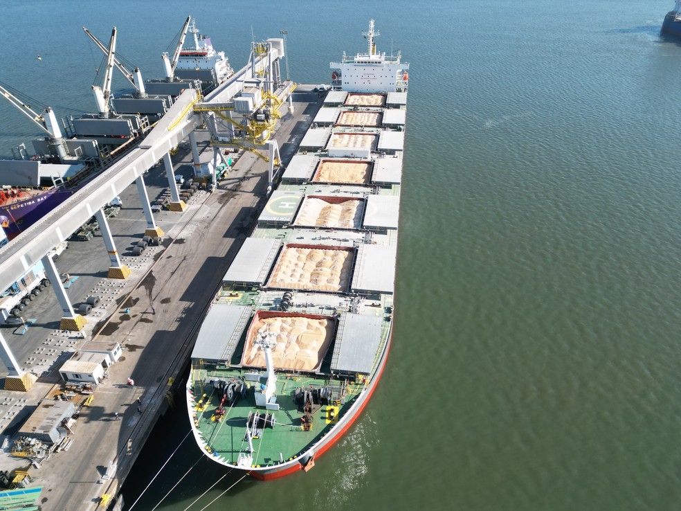 Navio carregado com graos no TESC, em São Francisco do Sul (SC). Expectativa da Agribrasil, sócia majoritária do terminal, é movimentar 16 embarcações e exportaar 1,3 milhão de toneladas até o fim de 2023 — Foto: TESC/Agribrasil