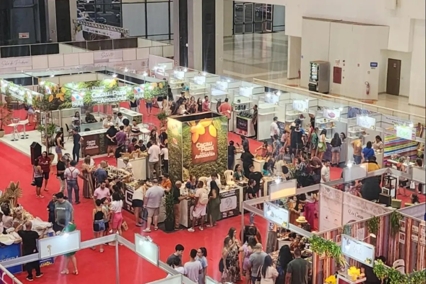 Festival de chocolate da Amazônia deve reunir 100 mil pessoas