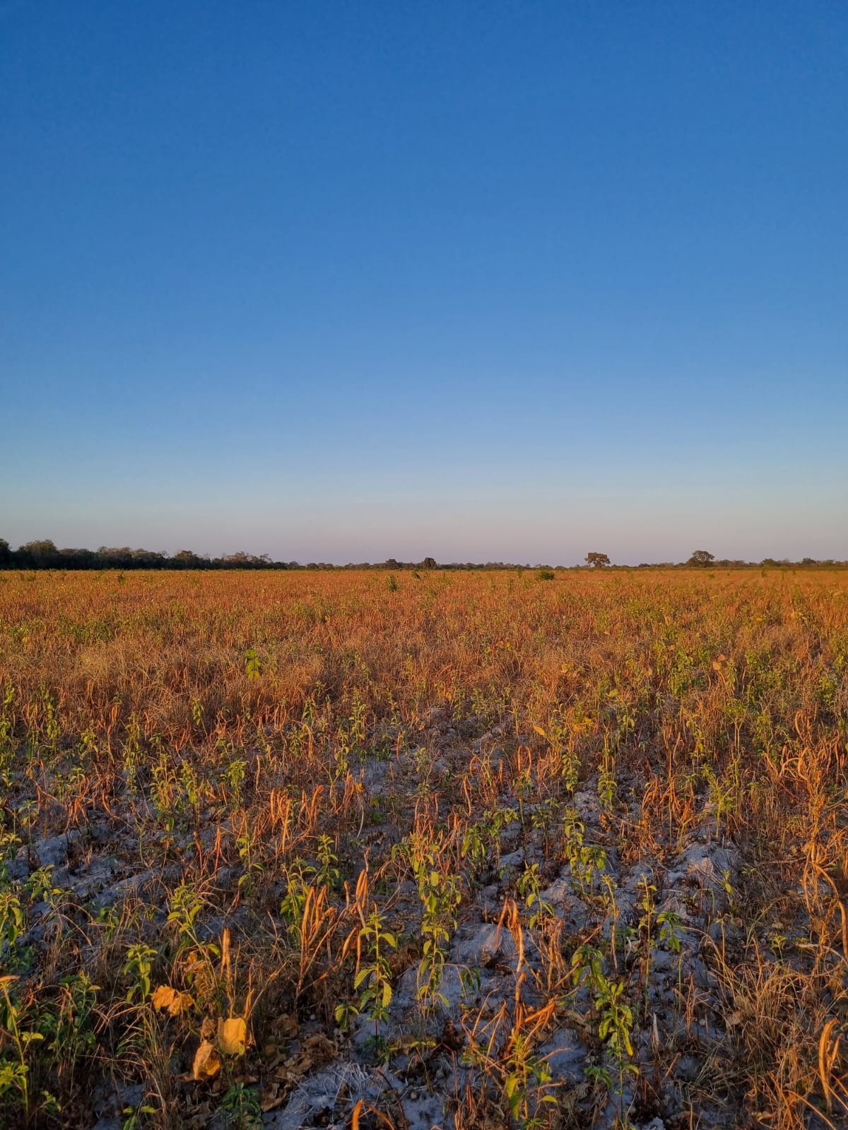 No Maranhão, produtor espera melhora em rodovias rumo aos portos