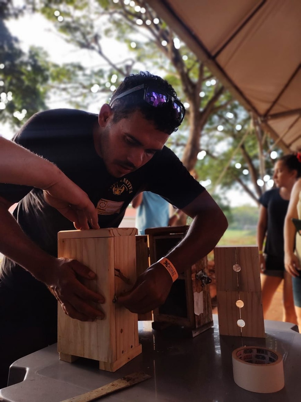 Anderson Magalhães chegou a criar 120 colônias de abelhas de 36 espécies diferentes em plena área urbana de Ribeirão Preto — Foto: Arquivo pessoal