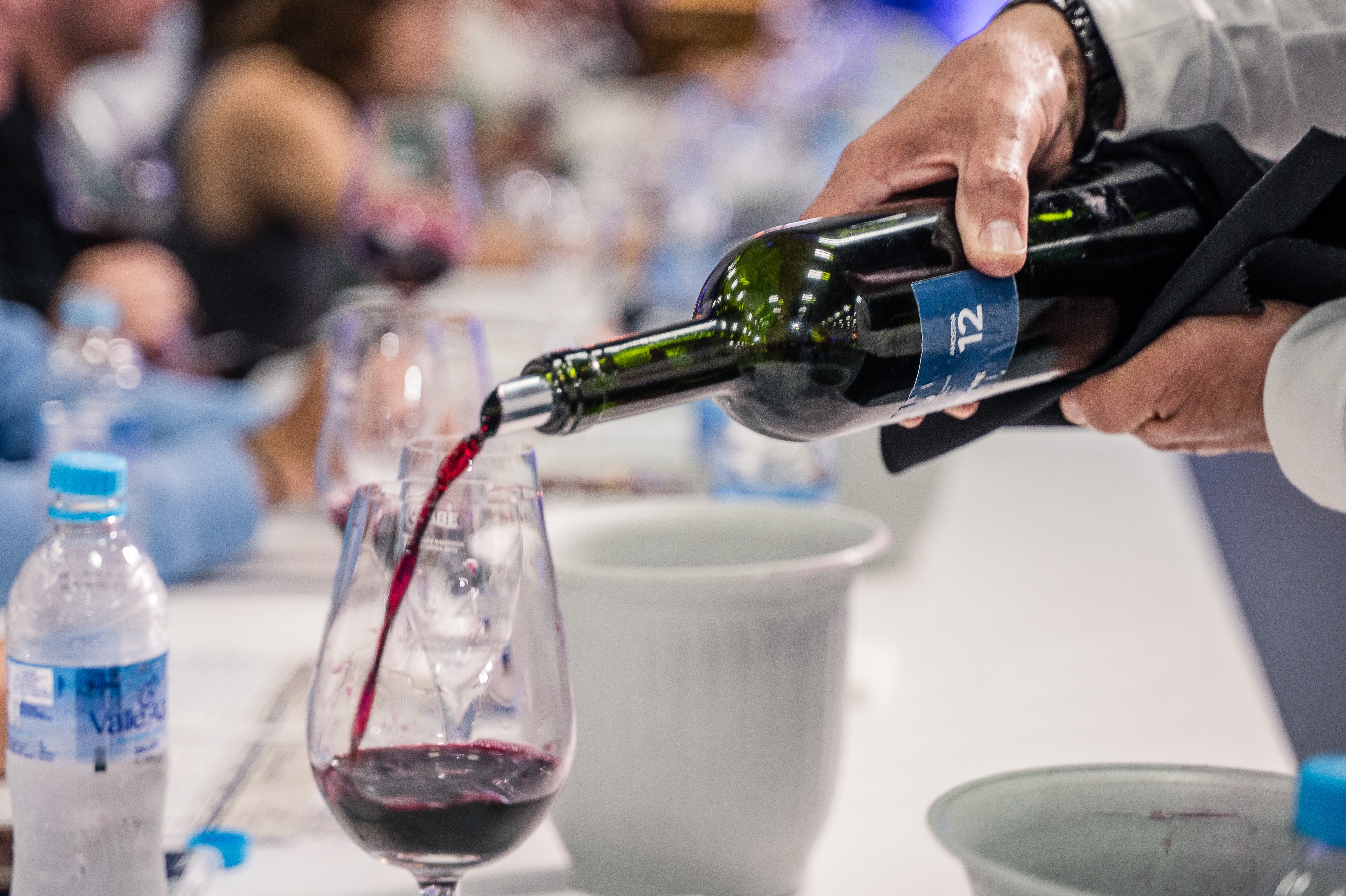 Três vinhos de fora do RS são destaque na 33ªAvaliação Nacional de Vinhos; conheça bebidas selecionadas
