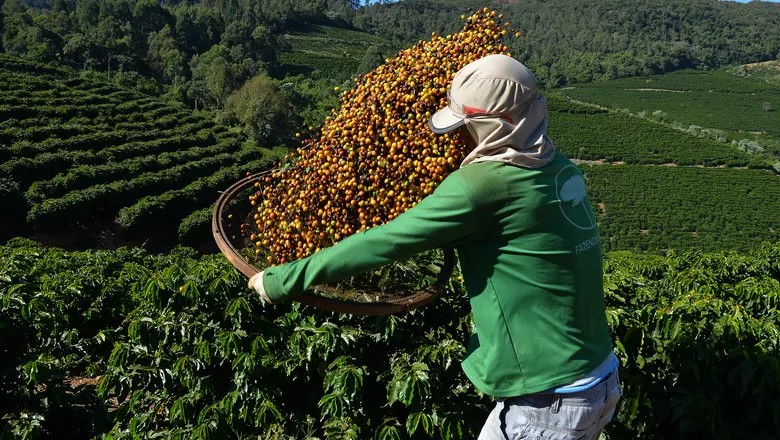 Preços de café e cacau recuaram 26% no primeiro semestre