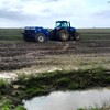 Já foram semeados 350,12 mil hectares de arroz no Rio Grande do Sul, dos 920,08 mil previstos para esta temporada. - Manuel Affonso/Irga
