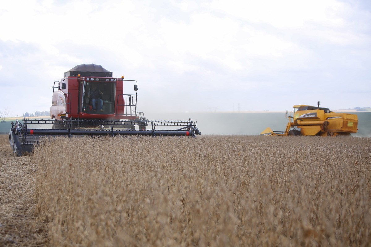 Plano Safra da Agricultura Empresarial terá corte de até 1,5 ponto percentual nos juros