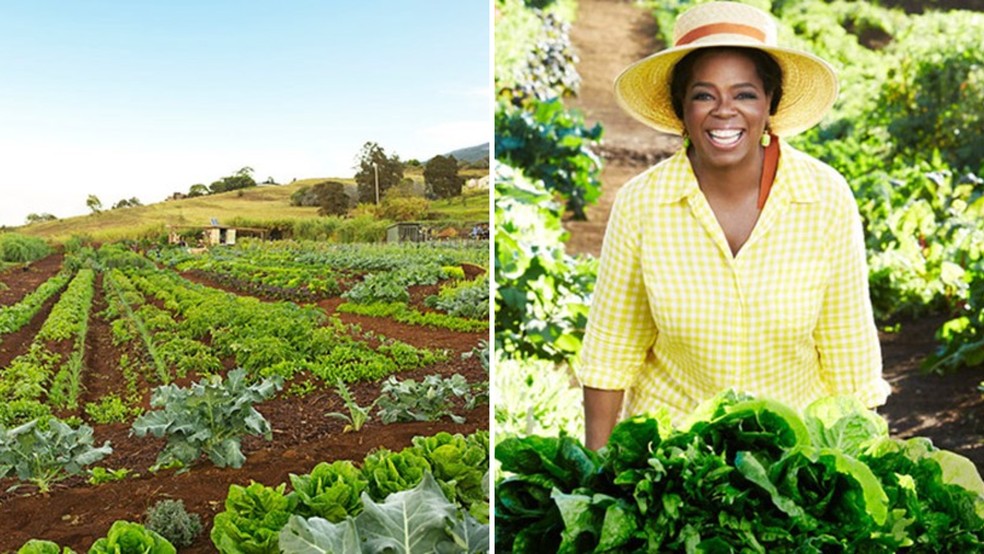 A fazenda havaiana de Oprah é especializada em alimentos orgânicos — Foto: Oprah/ Chris Craymer/ Divulgação