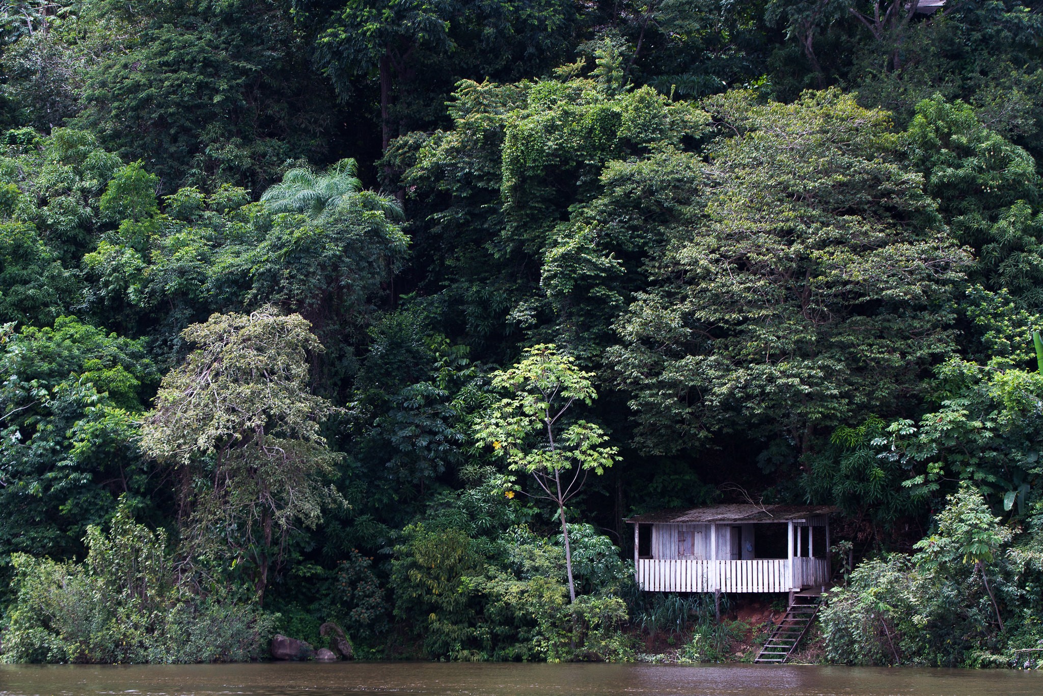 Projetos querem melhorar a conexão em áreas rurais do Norte do país