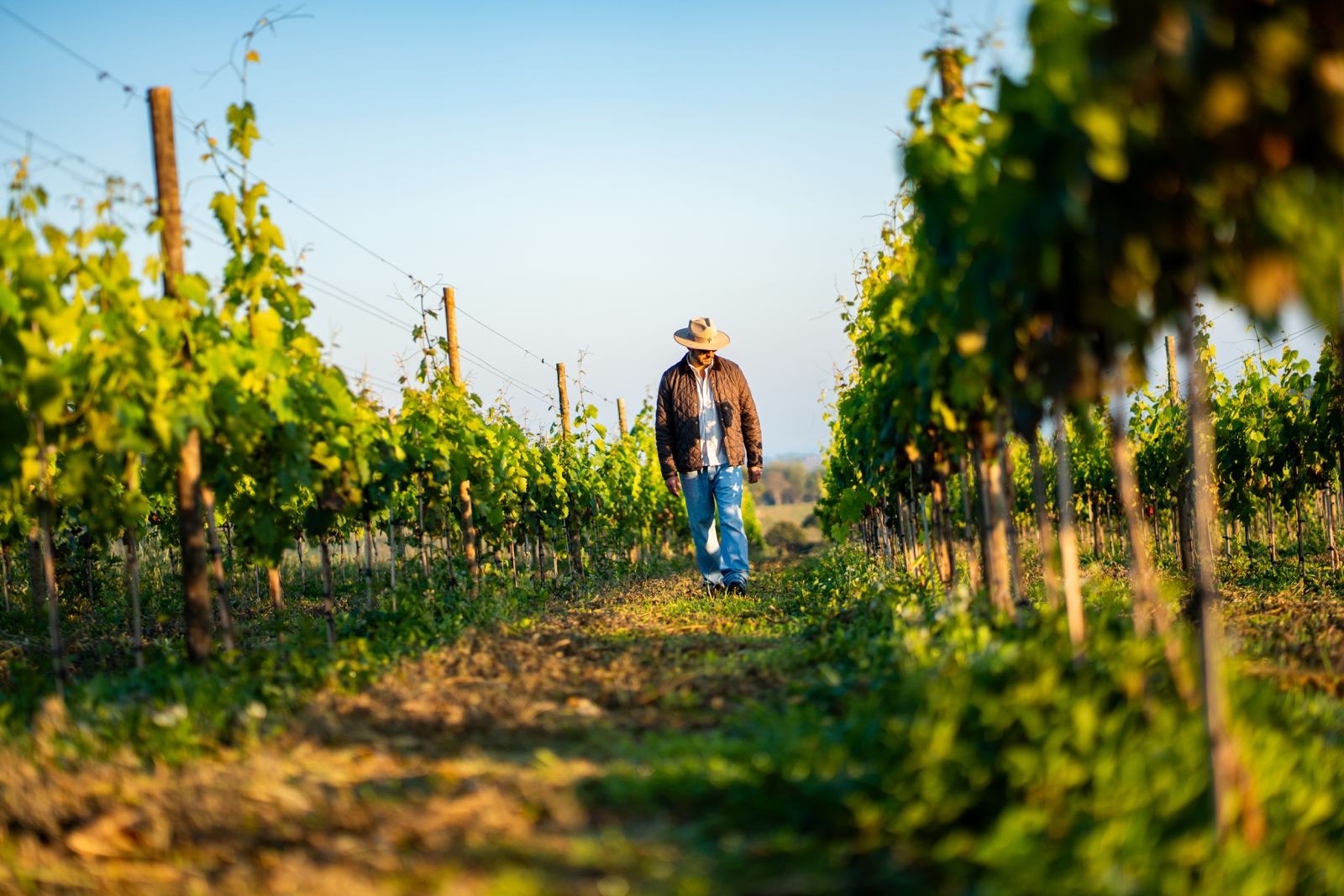 Vinhedos privativos e vinhos autorais: condomínio lança conceito de 'terroir living'