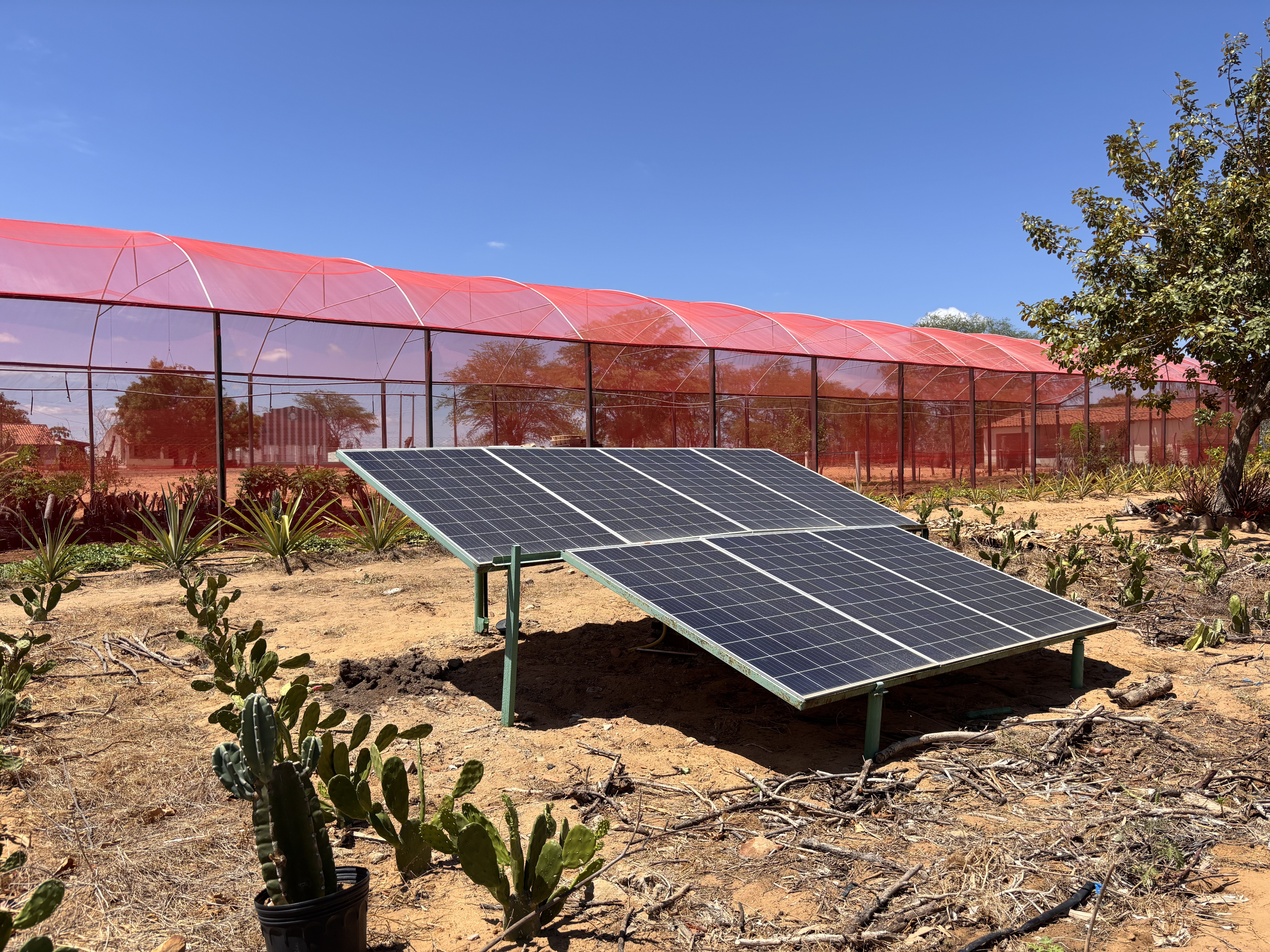 Iniciativa quer instalar um milhão de placas solares em propriedades do Semiárido
