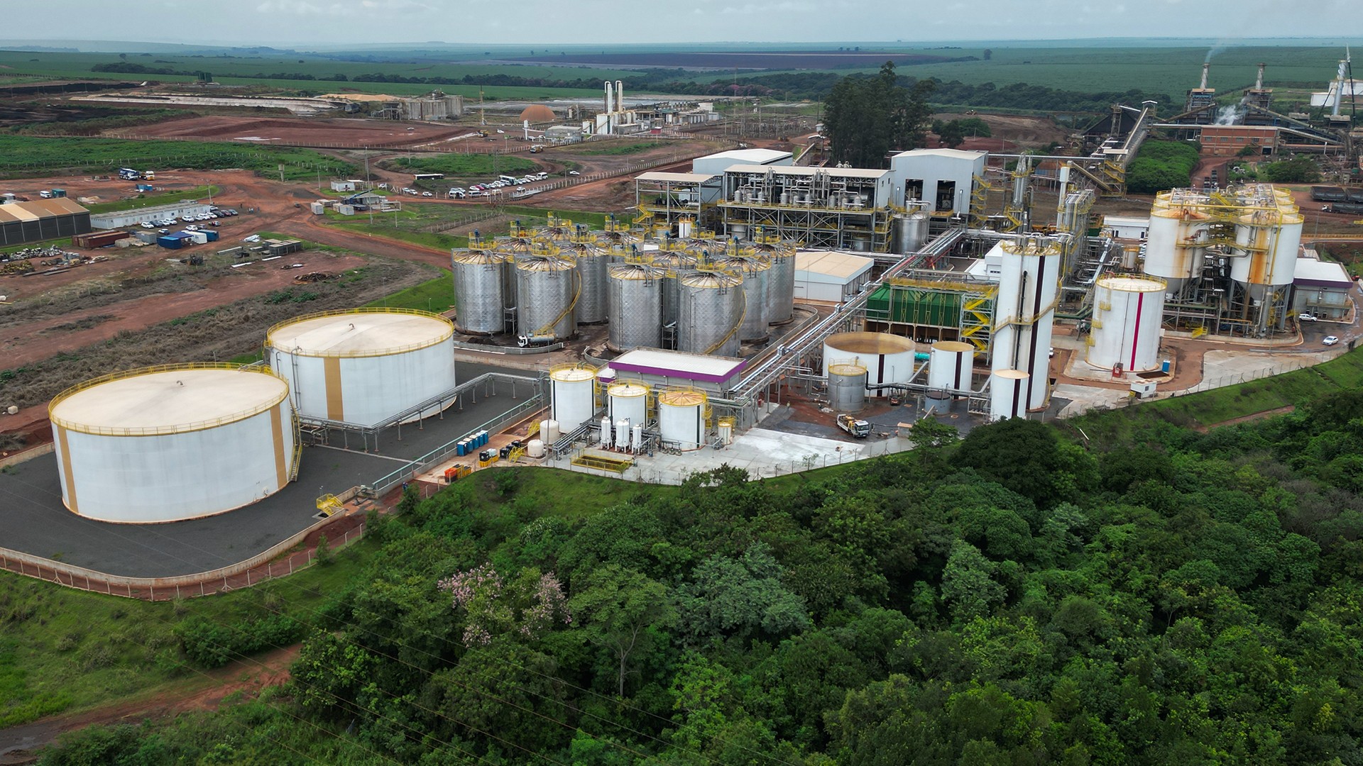 Após prejuízo, Raízen fica sem espaço para dividendos