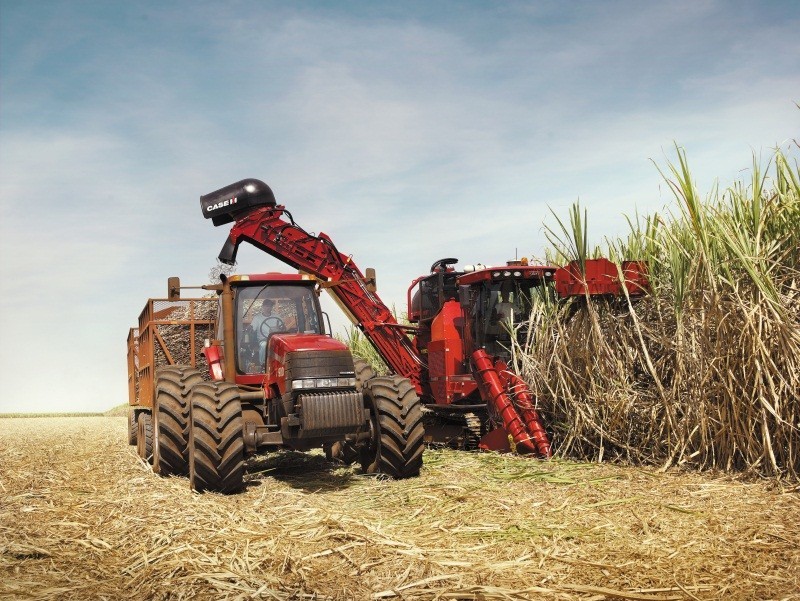 São Martinho encerra safra 2024/25 com menos cana do que o esperado