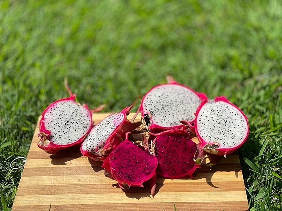 A fruta exótica possui ação antioxidante e anti-inflamatória — Foto: Globo Rural
