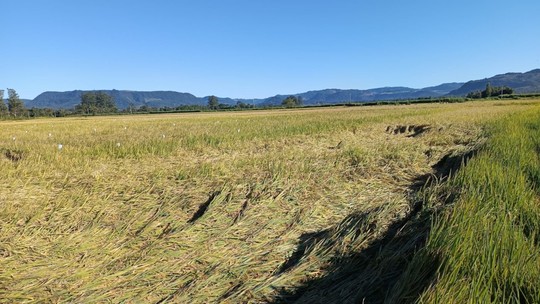 Agro vive 'crise silenciosa' de sa&uacute;de mental, com taxas de depress&atilde;o superiores &agrave; m&eacute;dia nacional 