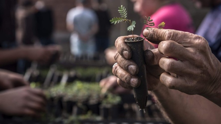 Um Jardim de Ofertas para você - Ofertas Setembro 2023 by Afubra