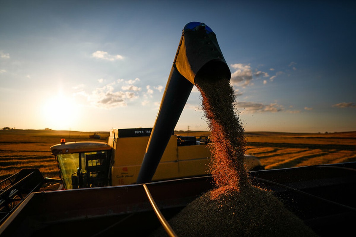 Colheita do arroz chega a 99,5% da área no Rio Grande do Sul