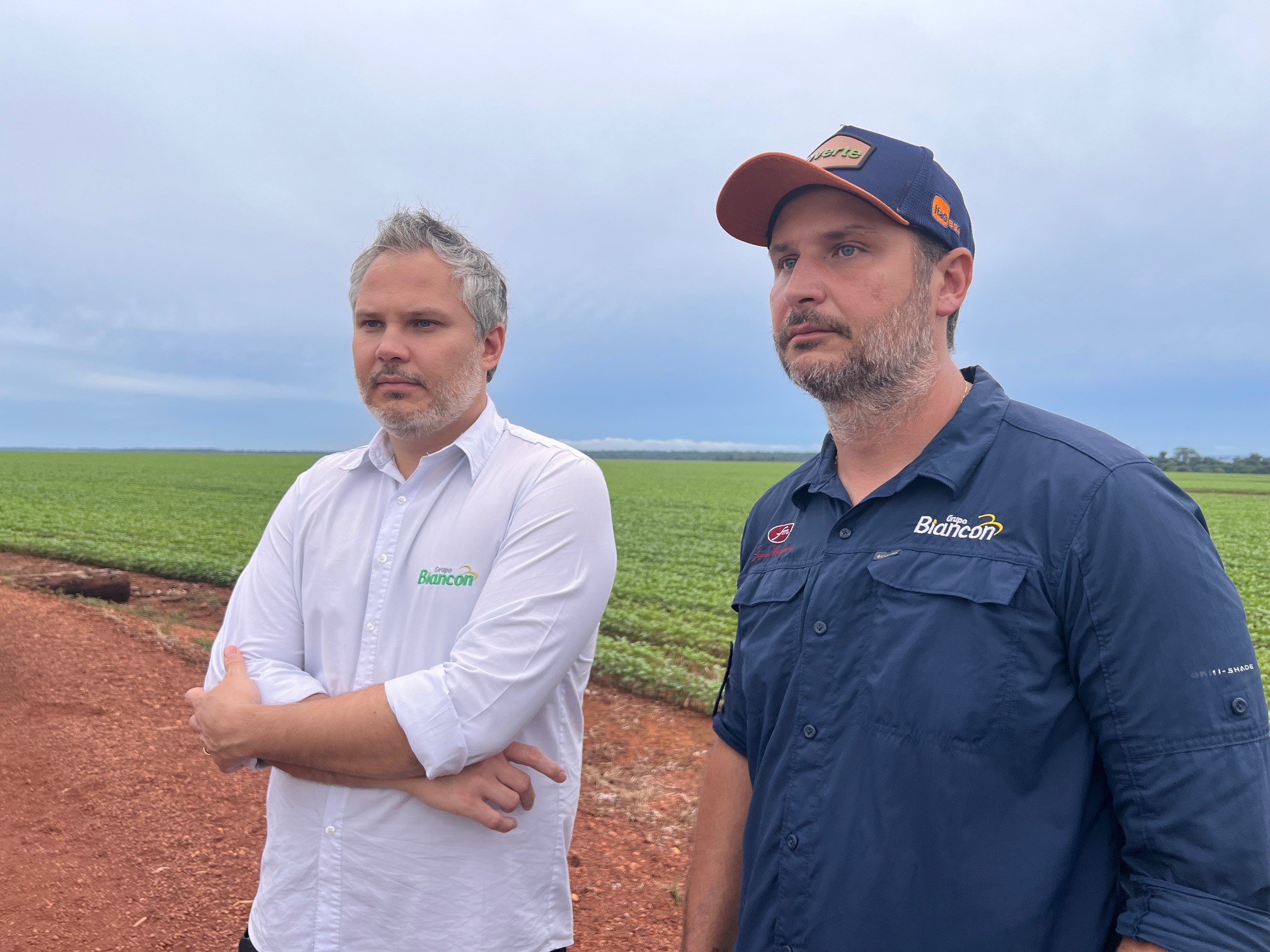 Irmãos plantam algodão em área recuperada e colhem 315 arrobas por hectare