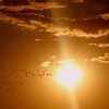Na última temporada, em 2024/2025, o verão foi o sexto mais quente no Brasil desde 1961 - Pixabay