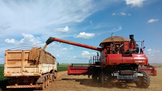 Colheita de milho segue com atraso em Mato Grosso, diz Imea