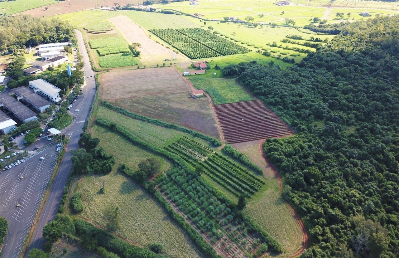 Senar passa a integrar conselho do AgNest, fazenda laboratório da Embrapa