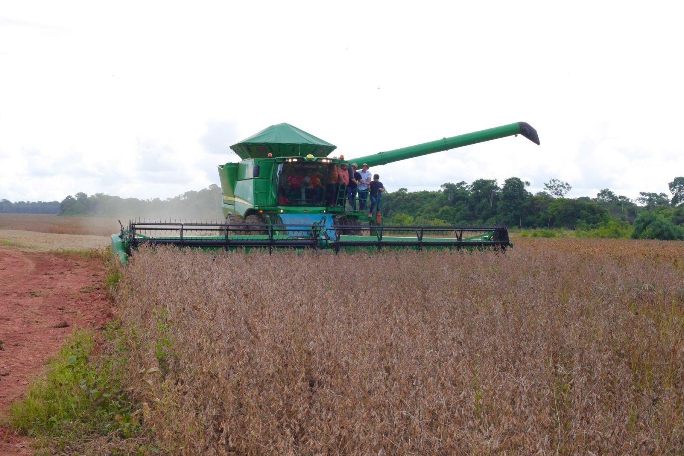 Área plantada com soja cresce 118% em sete anos em Santarém (PA)