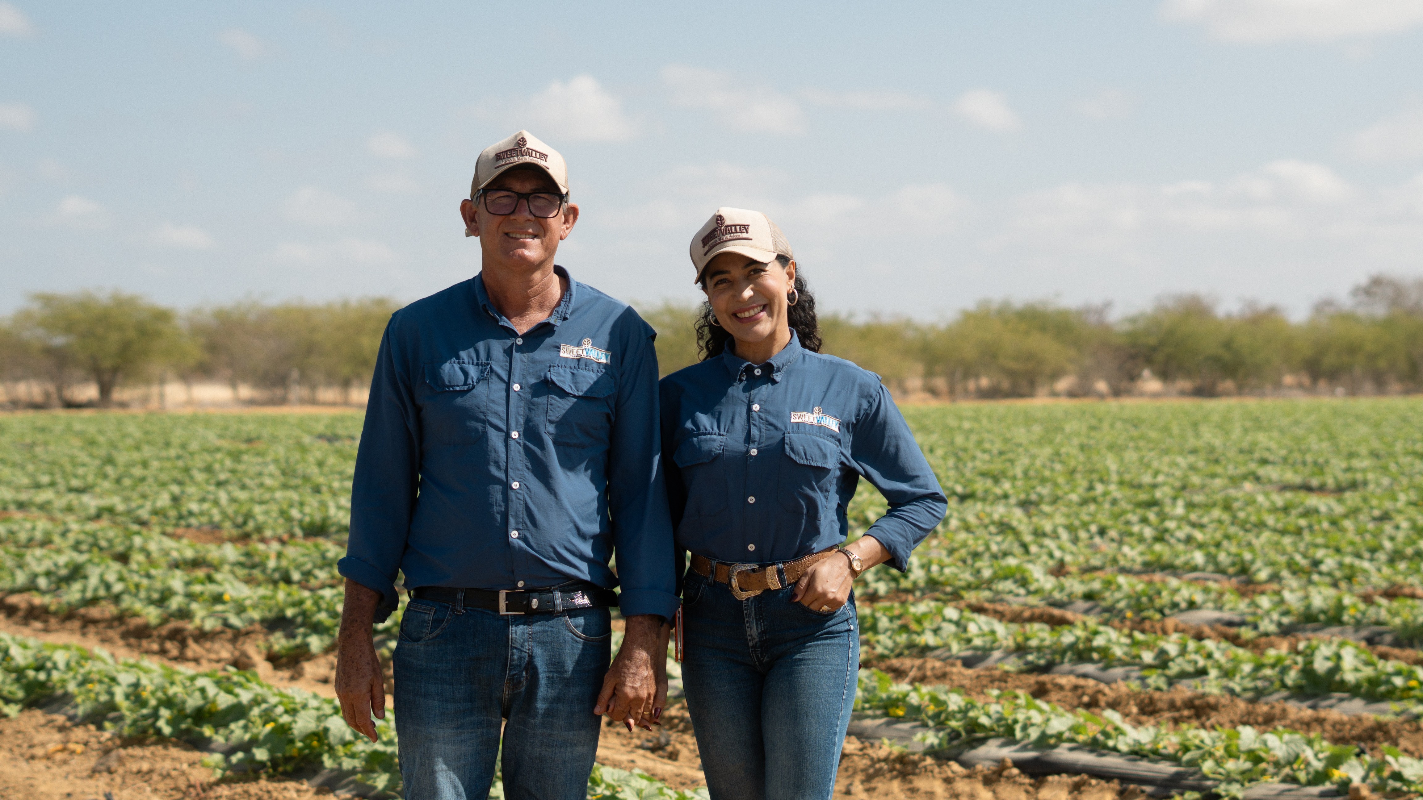 Melão sob medida: casal investe em produção da fruta com o máximo de eficiência