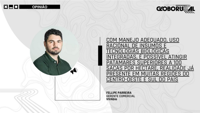 Bioinsumos ajudam a impulsionar safrinha de milho no Brasil