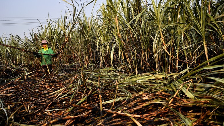 Índice global de preços dos alimentos fica estável em maio