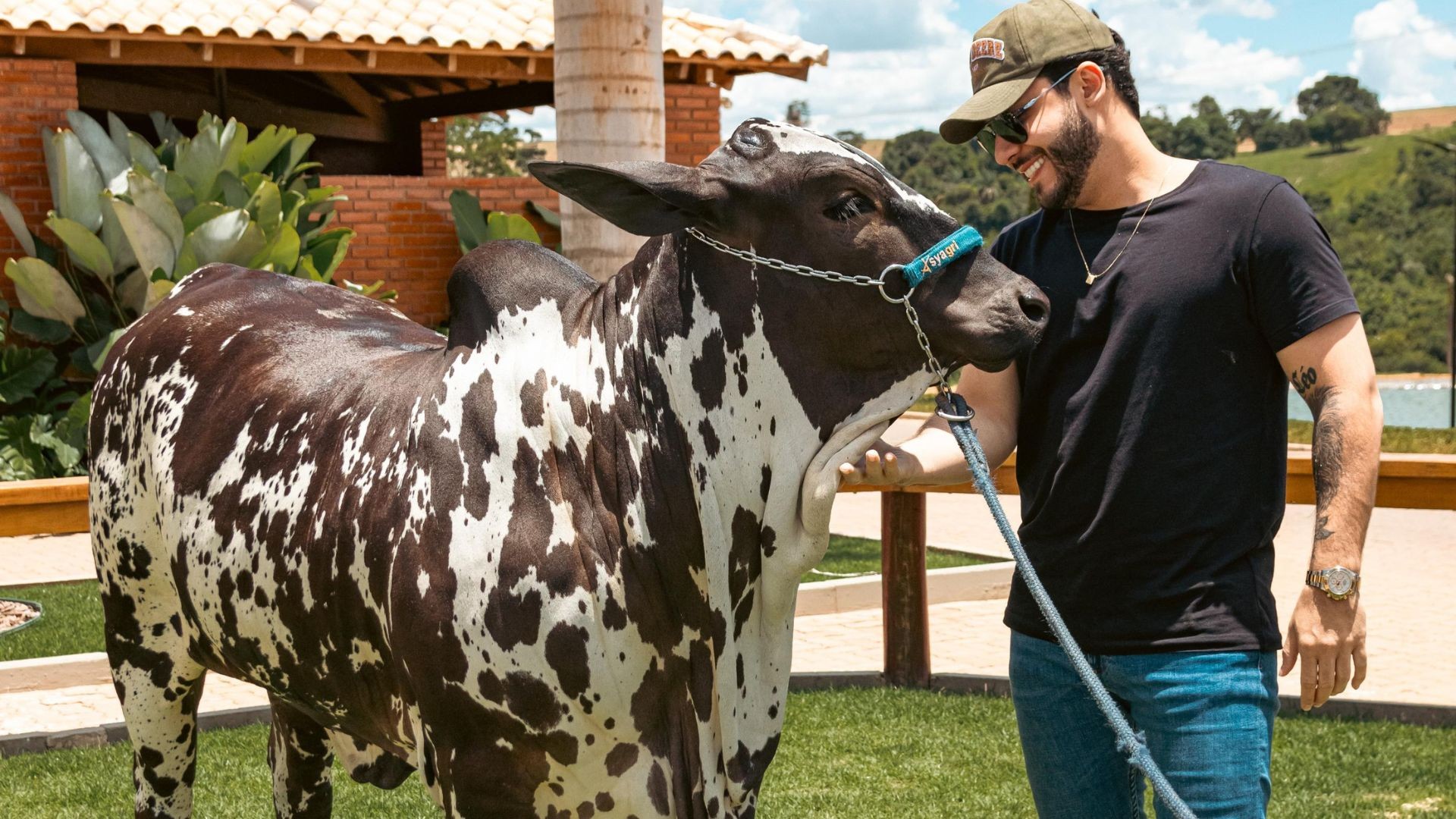 Sertanejo Murilo Huff arremata vaca por R$ 2 milhões em leilão em MG