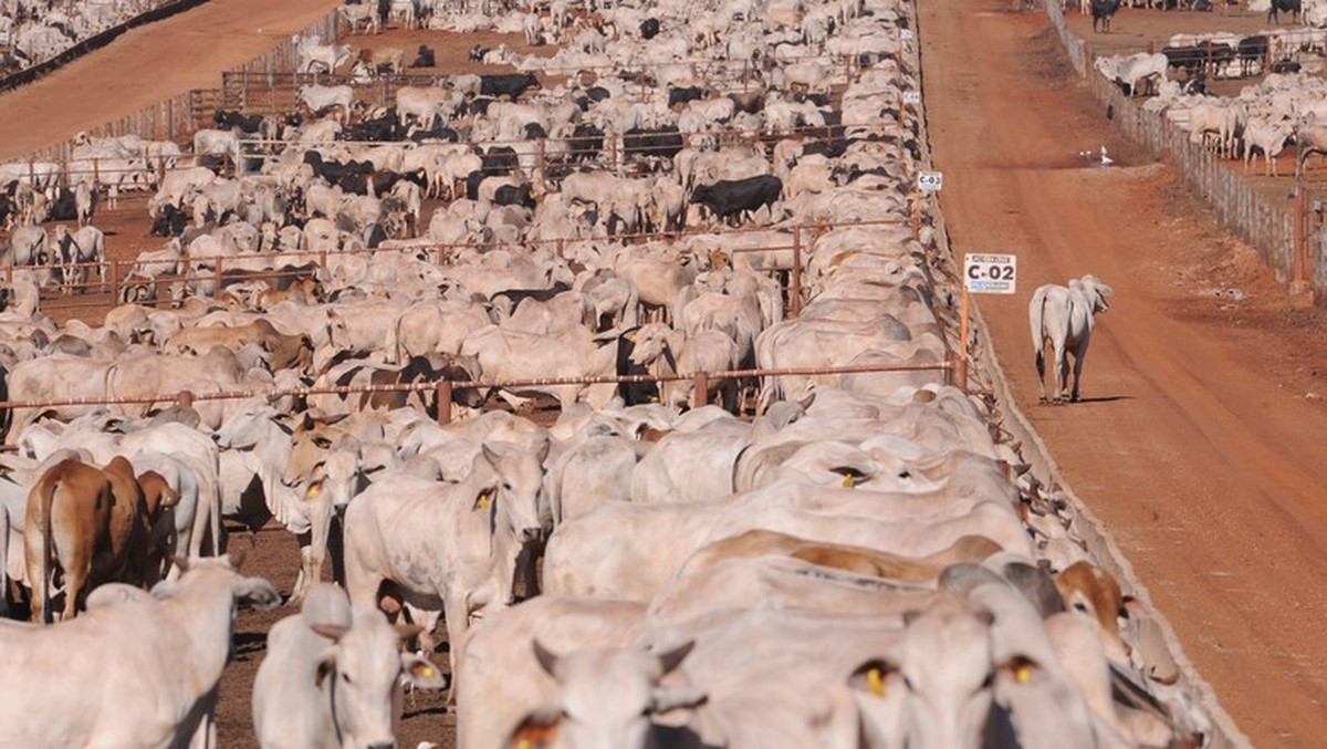 Credores aprovam plano da Cotril