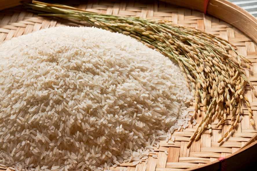 Não foram definidas cotas para a importação de arroz de fora do Mercosul