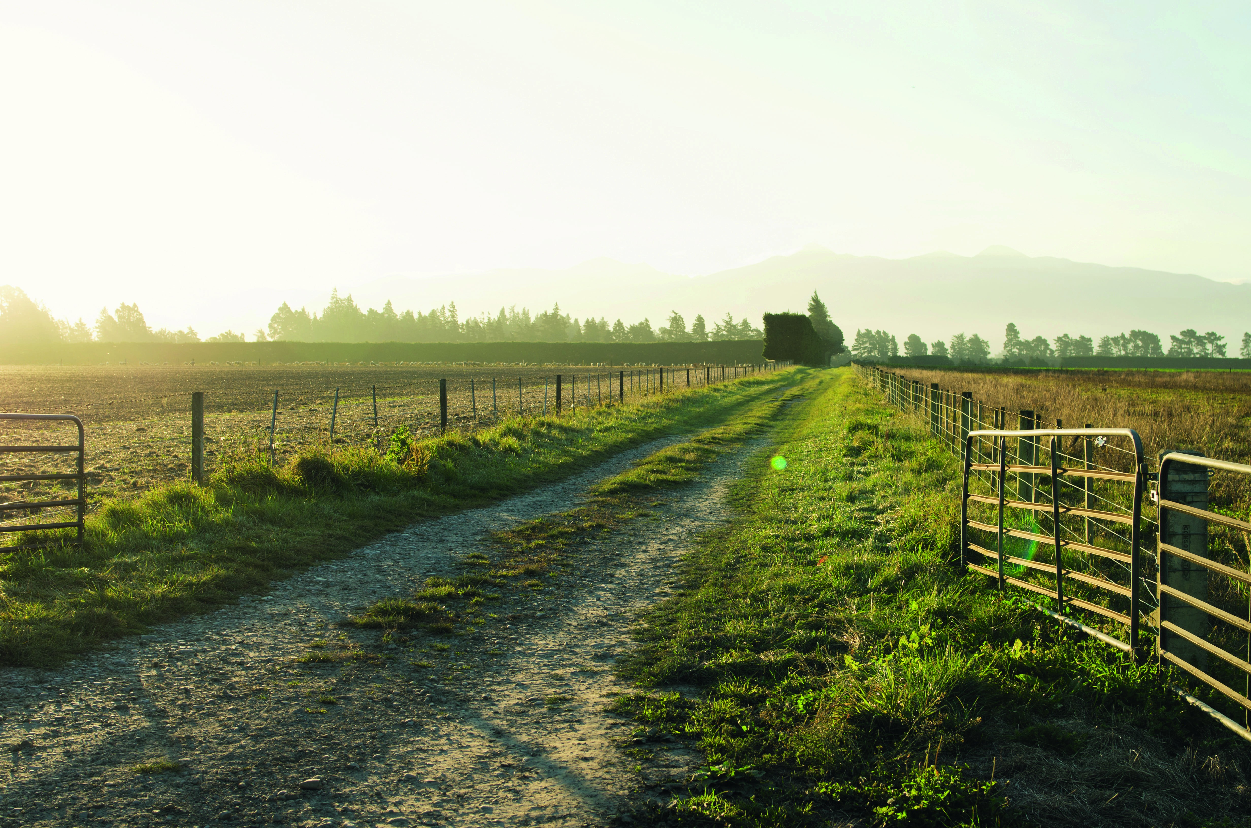 Faturamento ‘dentro da porteira’ deve desacelerar neste ano, afirmam especialistas