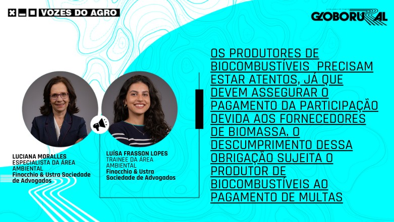 Opinião: Mudanças no RenovaBio e impactos para o setor de biocombustíveis