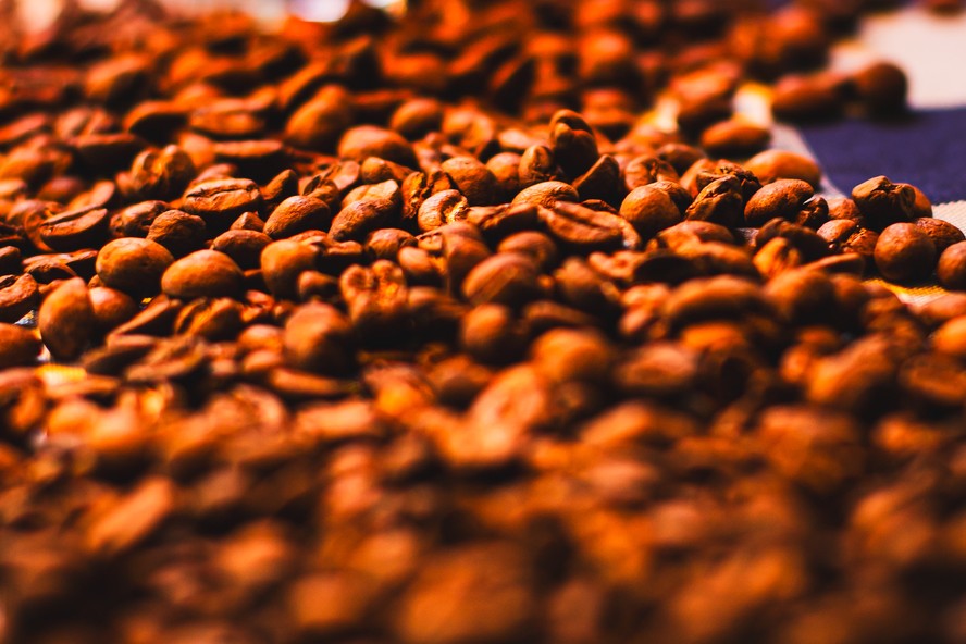 grãos de café - grão de café