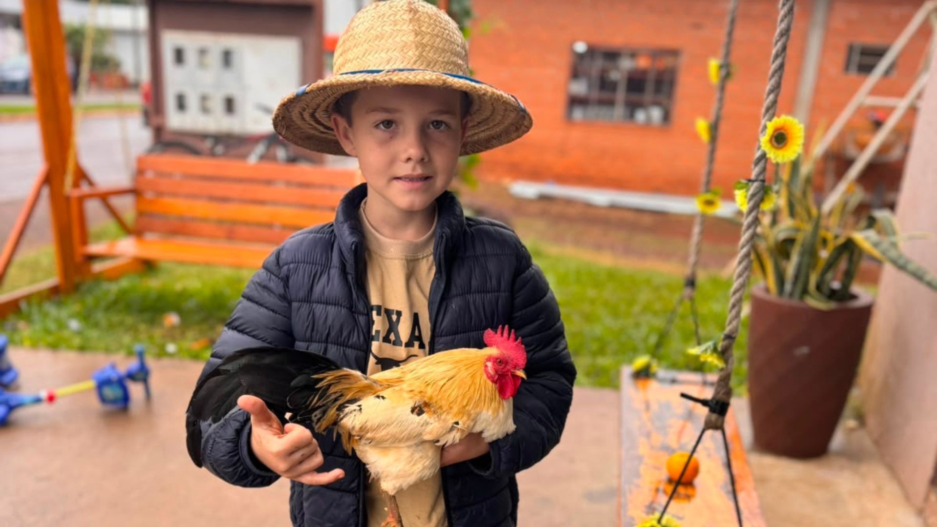 Menino troca coleção de carrinhos por garnizés e cuida de mais de 20 aves